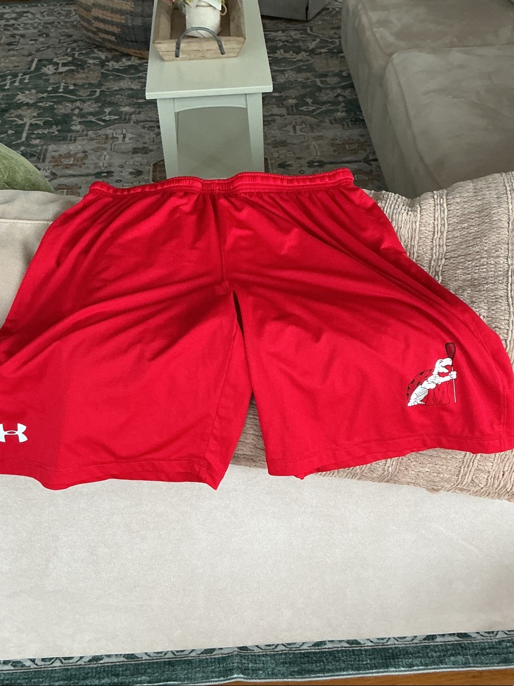 Under Armour Red Men's Performance Athletic Shorts